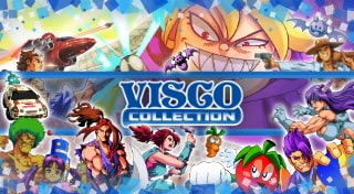 VISCO Collection