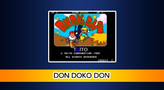 Arcade Archives DON DOKO DON
