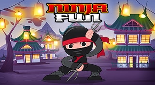 Ninja Fun