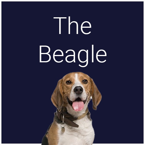 The Beagle