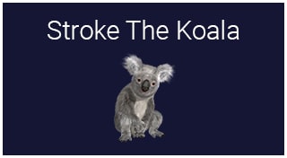 Stroke The Koala