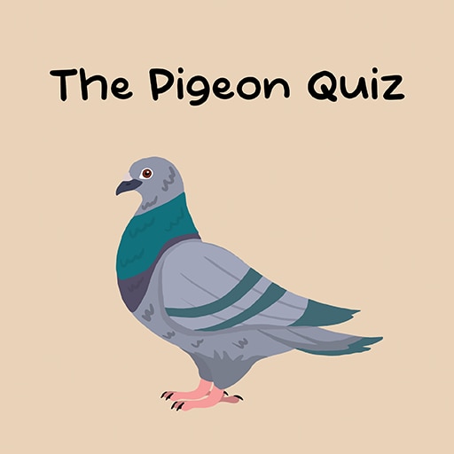 The Pigeon Quiz