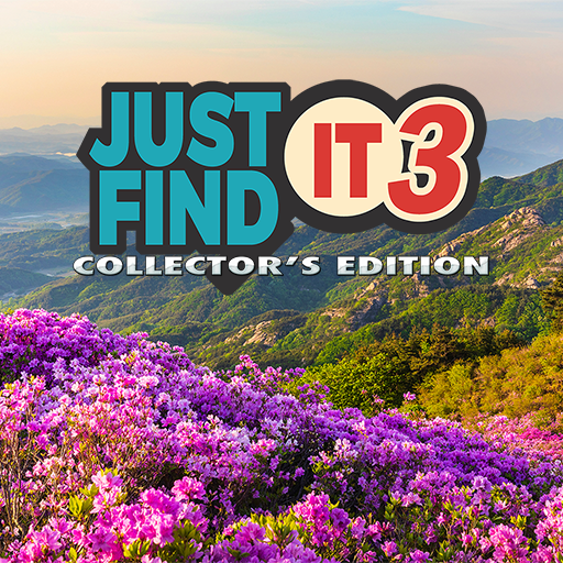 Just Find It 3: Collector's Edition