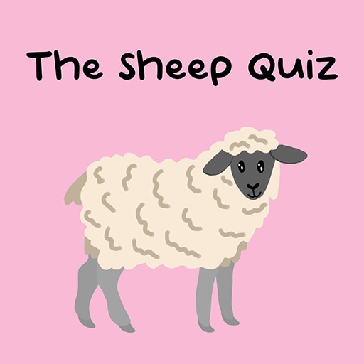 The Sheep Quiz