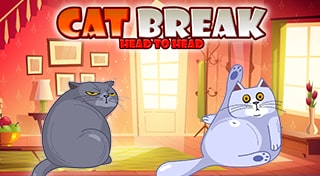 Cat Break: Head to Head