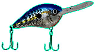 Rapala Pro Bass Fishing
