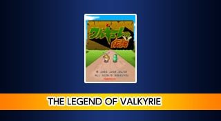 Arcade Archives: The Legend of Valkyrie