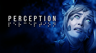 Perception
