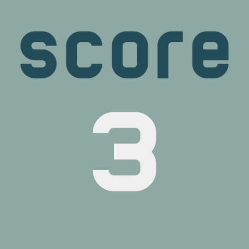Score 3