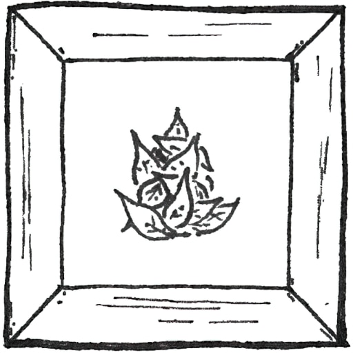 Leaves