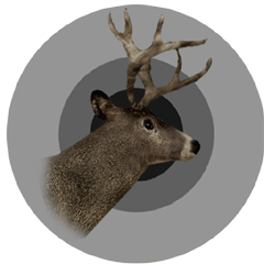 Blacktail deer trophy