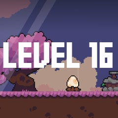 Level 16