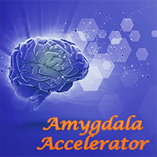Amygdala Accelerator