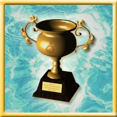 Professional Winner