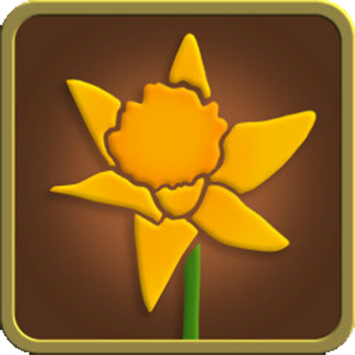 A Daffodil for a New Beginning