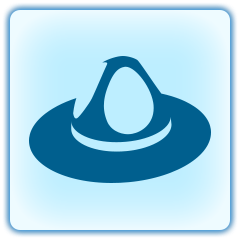Drill Sergeant