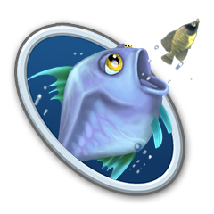Well Fed Fish