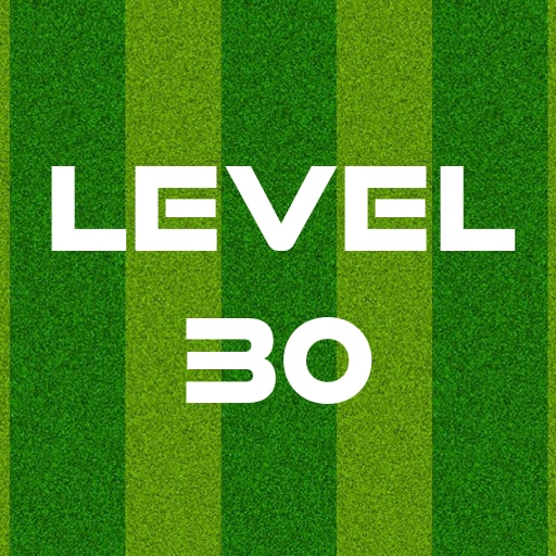 Complete Level 30
