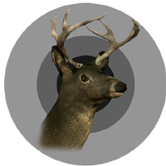 Southen whitetail trophy