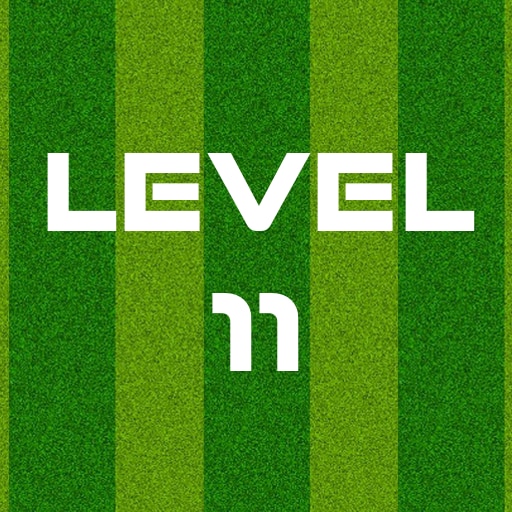 Complete Level 11