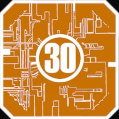 30th scheme