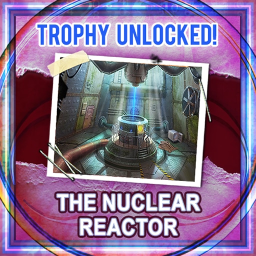 The nuclear reactor