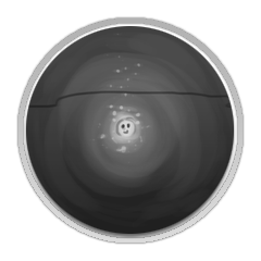 The wisp