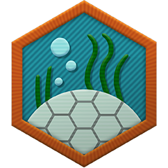 Pond Lab