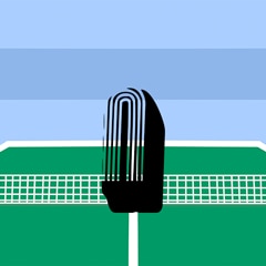 According to the game rules, when the ball is dropped from a height of 30.5 cm, it should bounce within 24-26 cm