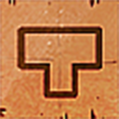 Level 13