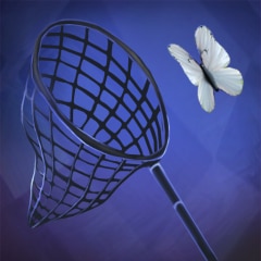 Butterfly catcher