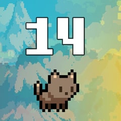 Level 14