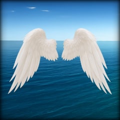 Wings