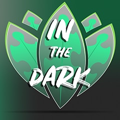 In the Dark