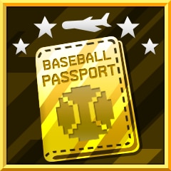 Baseball Passport
