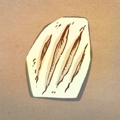 Footprint