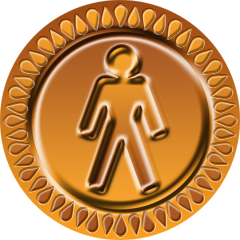 Bronze Award