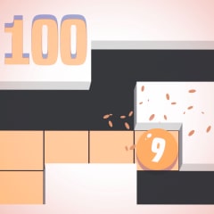 Puzzle master