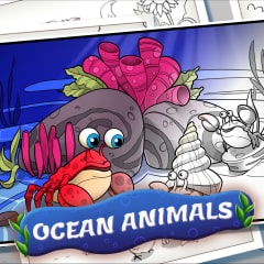 Ocean Friends