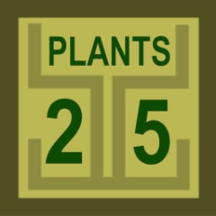 25 Plants