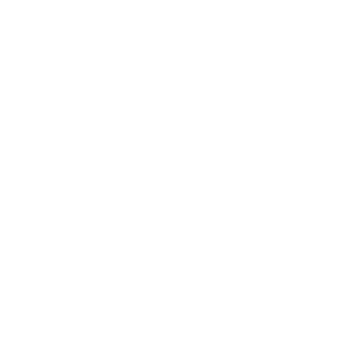 Brute Force