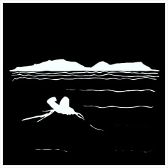 Long Distance Swimmer