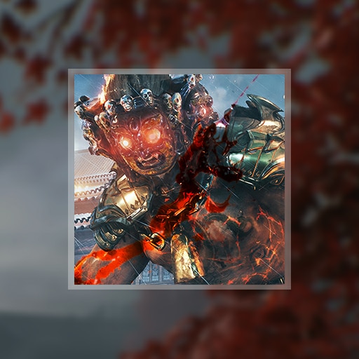 Battlefield Veteran