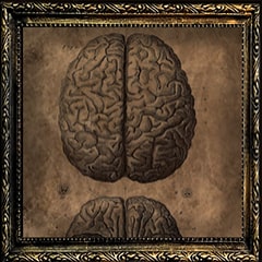 Platinum Brain