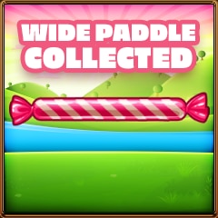 Wide paddle collected