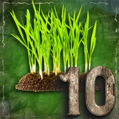 Budding Botanist