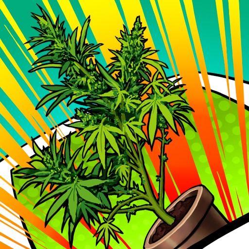 Super Duper Chronic