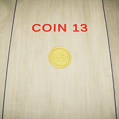 Coin 13