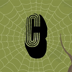 Spiders can see UVA and UVB light
