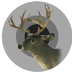Canadian whitetail trophy
